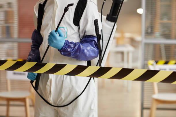 Professional Sewage Cleanup technician working in Eaton, CO